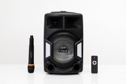 Combo Loa Bluetooth Karaoke i.value F38 Nhựa đen + Mic không dây