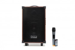 Combo Loa Bluetooth Karaoke i.value 10inch Gỗ + Mic không dây