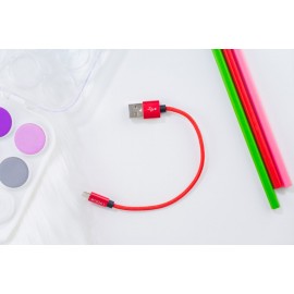 Cáp Micro 0.2m ivalue Fishing Đỏ