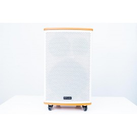 Combo Loa Bluetooth Karaoke F.Power GD12-02 Gỗ + Mic không dây