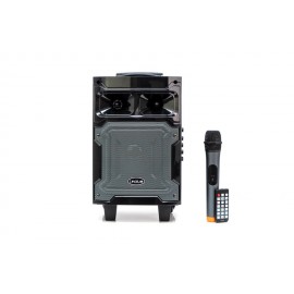 Combo Loa Bluetooth Karaoke i.value 6.5inch Gỗ + Mic không dây