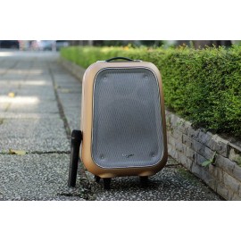 Loa Bluetooth Speaker System Soundmax M6